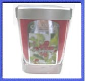 Hollyberry Scented Candle in Jar 